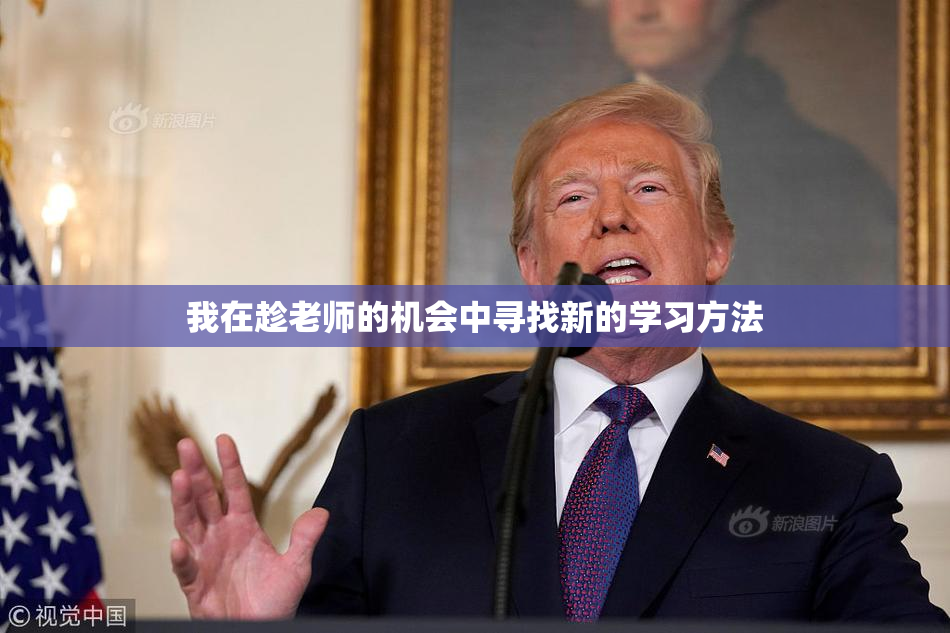 我在趁老师的机会中寻找新的学习方法