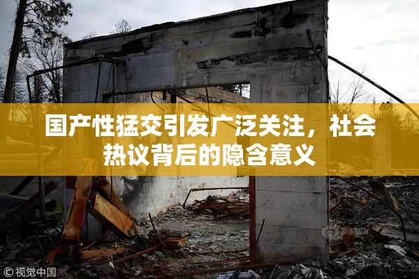 国产性猛交引发广泛关注，社会热议背后的隐含意义