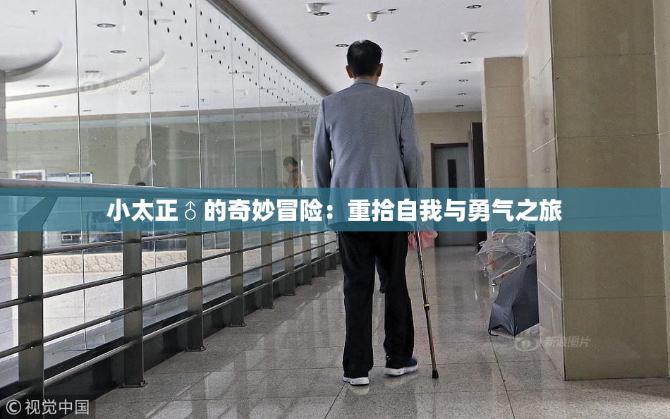 小太正♂的奇妙冒险：重拾自我与勇气之旅