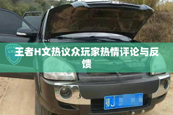 王者H文热议众玩家热情评论与反馈