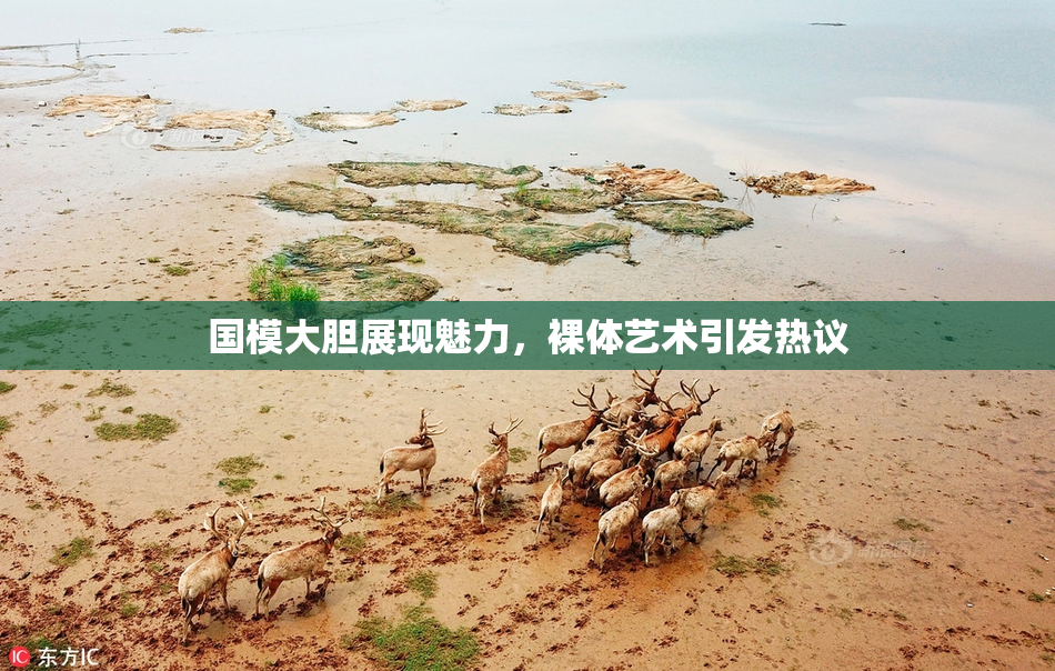 国模大胆展现魅力，裸体艺术引发热议