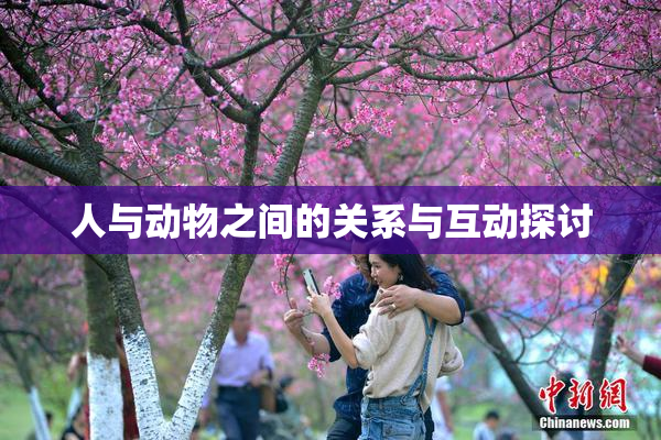 人与动物之间的关系与互动探讨