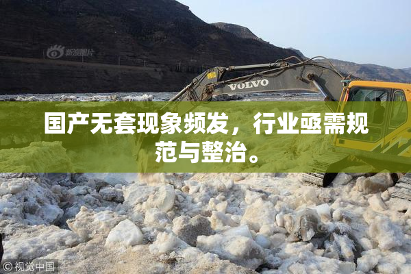 国产无套现象频发，行业亟需规范与整治。