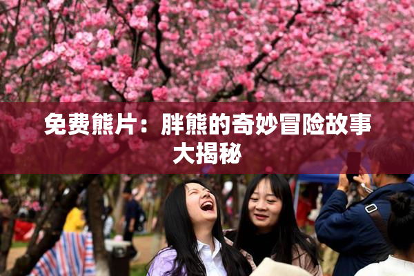 免费熊片：胖熊的奇妙冒险故事大揭秘