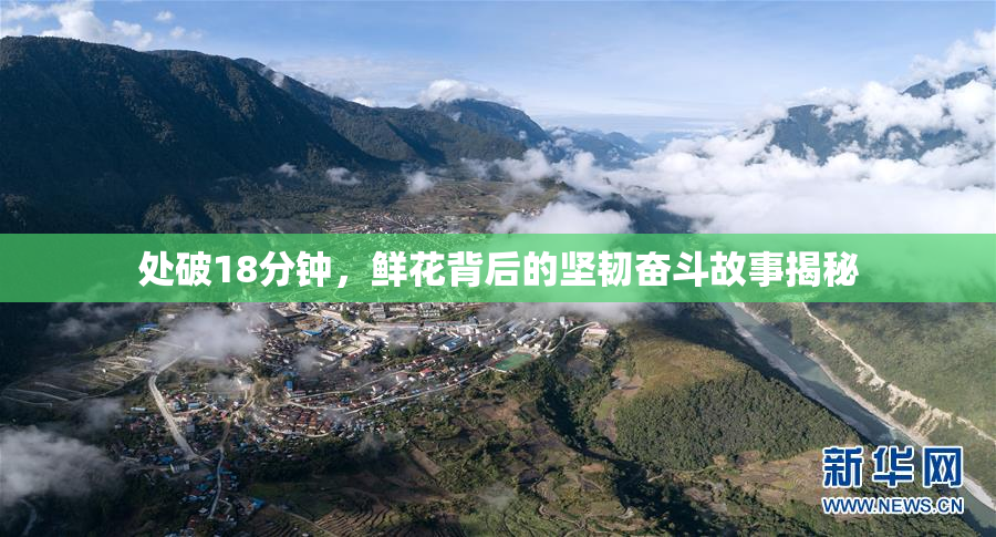 处破18分钟，鲜花背后的坚韧奋斗故事揭秘