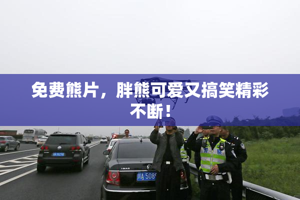 免费熊片，胖熊可爱又搞笑精彩不断！