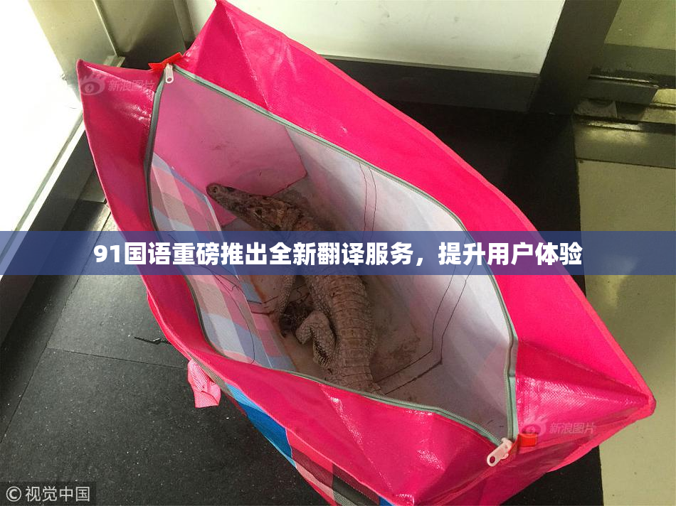 91国语重磅推出全新翻译服务，提升用户体验