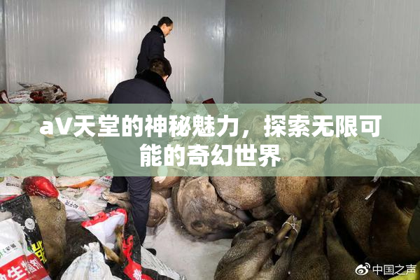 a∨天堂的神秘魅力，探索无限可能的奇幻世界