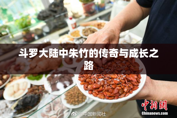 斗罗大陆中朱竹的传奇与成长之路