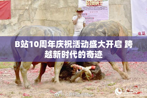 B站10周年庆祝活动盛大开启 跨越新时代的奇迹