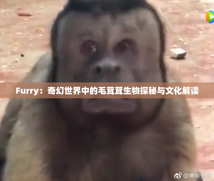 Furry：奇幻世界中的毛茸茸生物探秘与文化解读