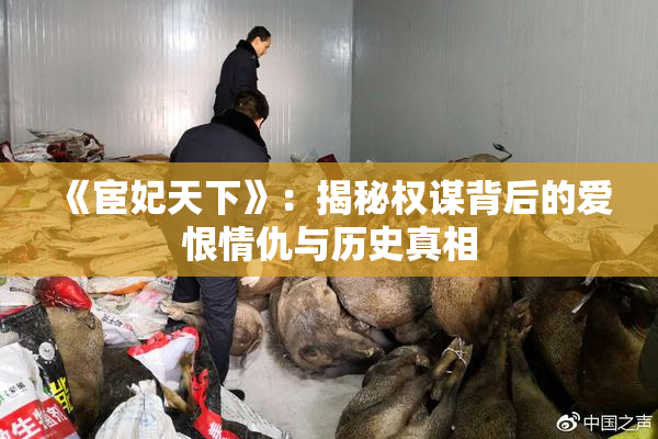 《宦妃天下》：揭秘权谋背后的爱恨情仇与历史真相