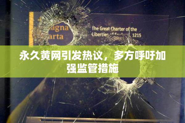 永久黄网引发热议，多方呼吁加强监管措施