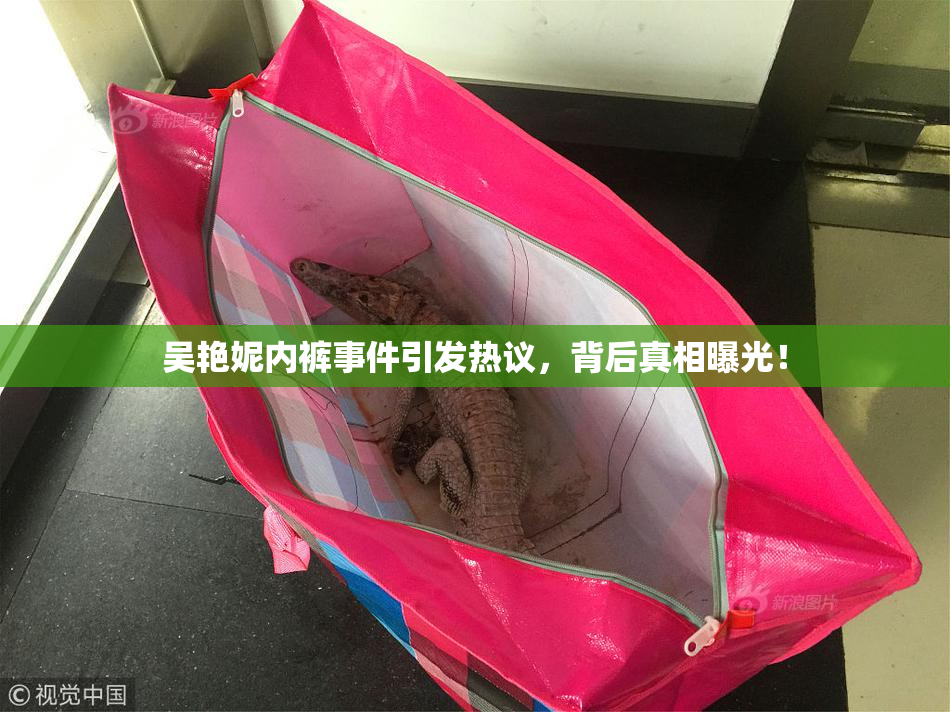 吴艳妮内裤事件引发热议，背后真相曝光！