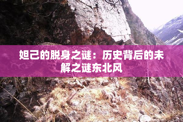 妲己的脱身之谜：历史背后的未解之谜东北风