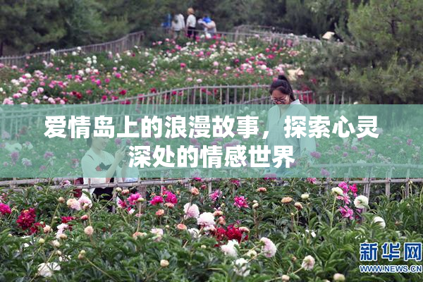 爱情岛上的浪漫故事，探索心灵深处的情感世界