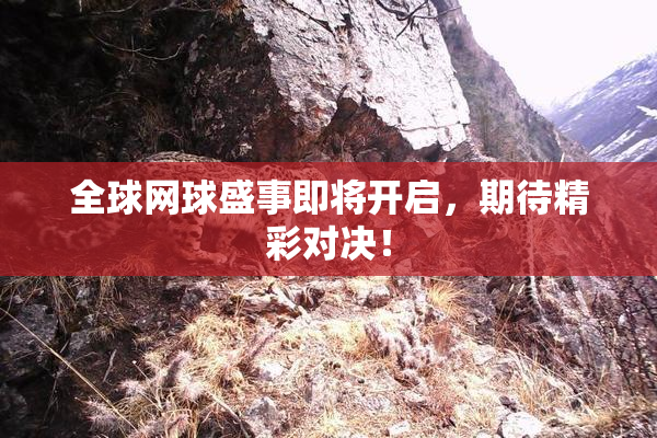 全球网球盛事即将开启，期待精彩对决！