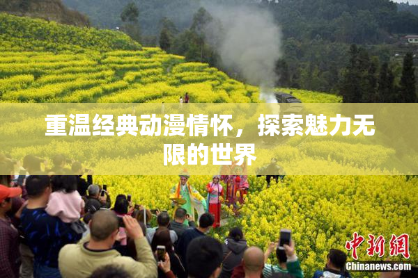 重温经典动漫情怀，探索魅力无限的世界