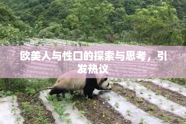 欧美人与性囗的探索与思考，引发热议