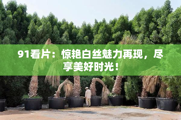 91看片：惊艳白丝魅力再现，尽享美好时光！