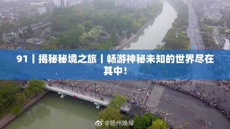 91丨揭秘秘境之旅丨畅游神秘未知的世界尽在其中！
