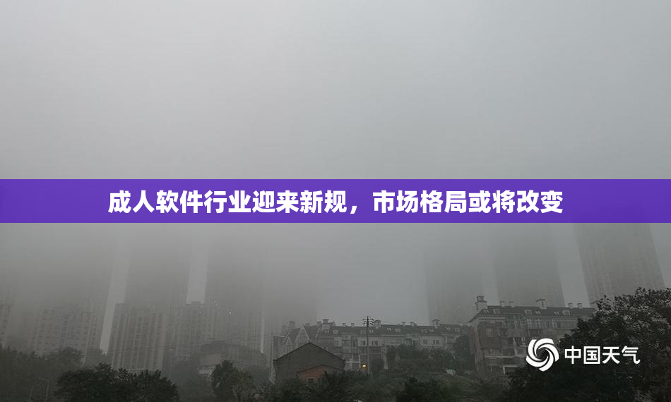 成人软件行业迎来新规，市场格局或将改变