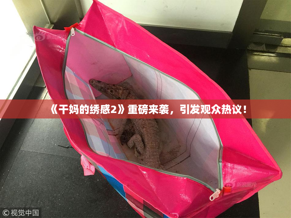 《干妈的绣感2》重磅来袭，引发观众热议！