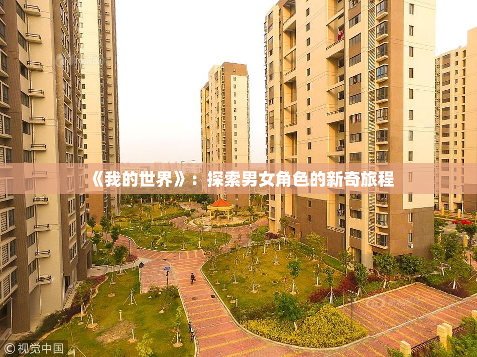 《我的世界》：探索男女角色的新奇旅程