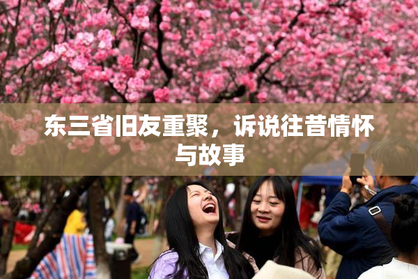 东三省旧友重聚，诉说往昔情怀与故事