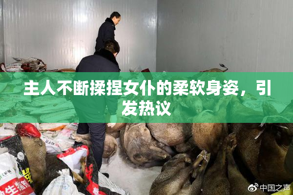 主人不断揉捏女仆的柔软身姿，引发热议
