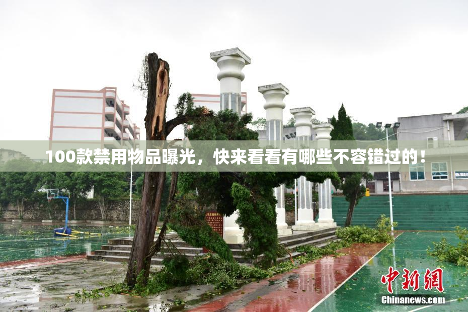 100款禁用物品曝光，快来看看有哪些不容错过的！