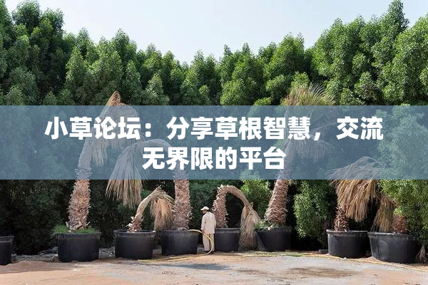 小草论坛：分享草根智慧，交流无界限的平台