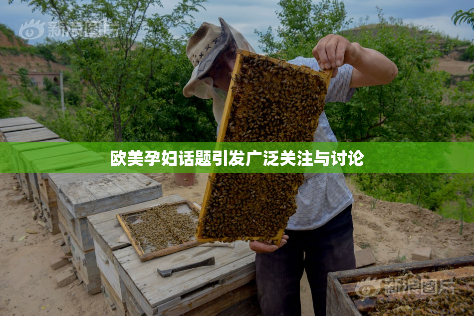 欧美孕妇话题引发广泛关注与讨论