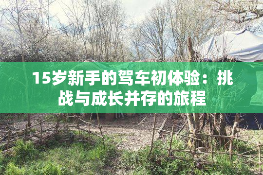 15岁新手的驾车初体验：挑战与成长并存的旅程