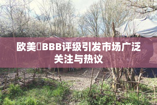 欧美槡BBB评级引发市场广泛关注与热议