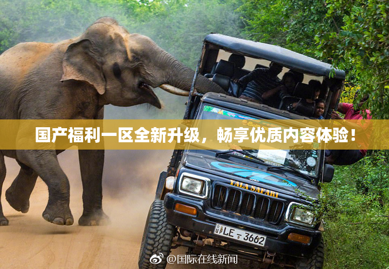 国产福利一区全新升级，畅享优质内容体验！