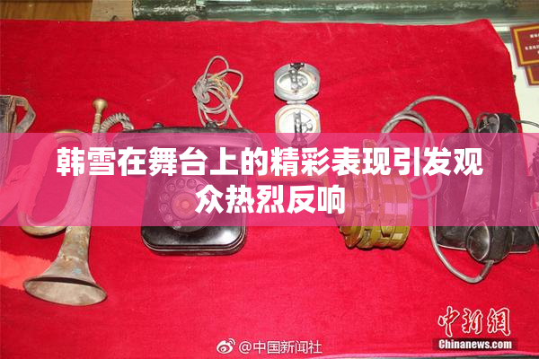 韩雪在舞台上的精彩表现引发观众热烈反响
