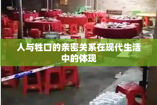 人与牲口的亲密关系在现代生活中的体现