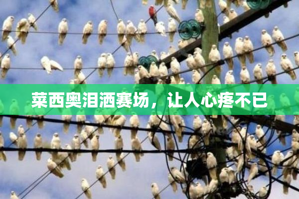 菜西奥泪洒赛场，让人心疼不已