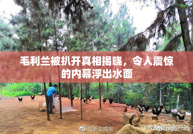 毛利兰被扒开真相揭晓，令人震惊的内幕浮出水面
