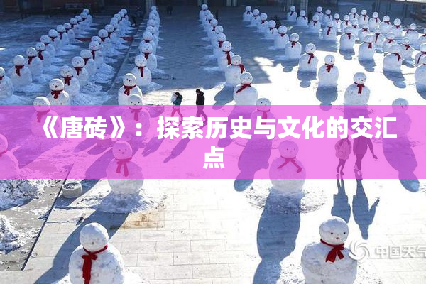 《唐砖》：探索历史与文化的交汇点