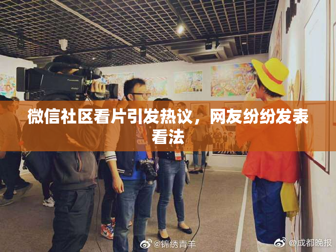 微信社区看片引发热议，网友纷纷发表看法
