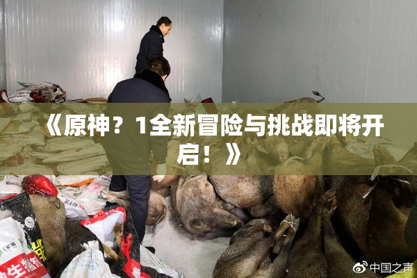 《原神？1全新冒险与挑战即将开启！》