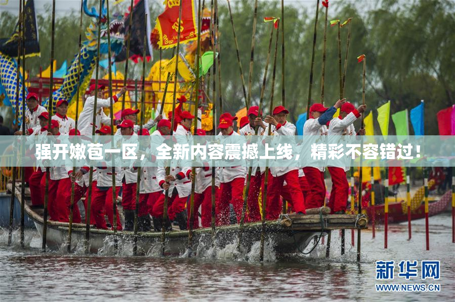 强开嫩苞一区，全新内容震撼上线，精彩不容错过！