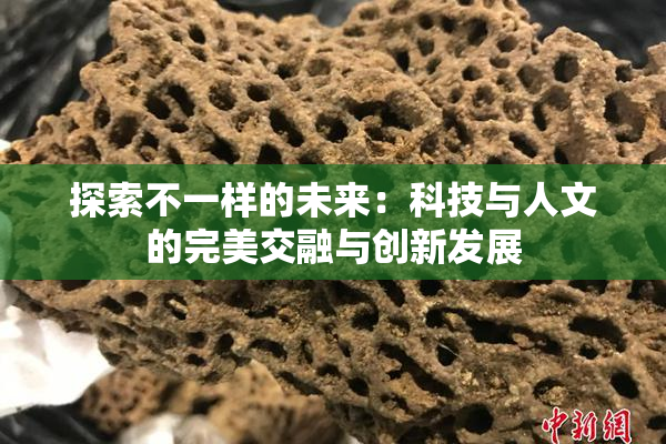 探索不一样的未来：科技与人文的完美交融与创新发展