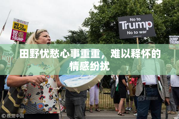 田野忧愁心事重重，难以释怀的情感纷扰