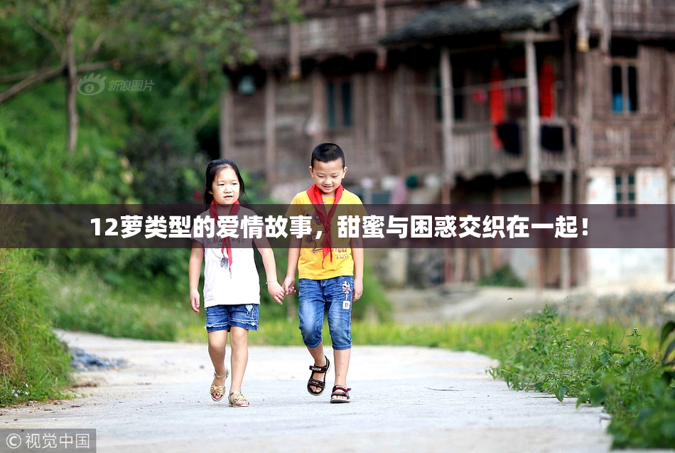 12萝类型的爱情故事，甜蜜与困惑交织在一起！