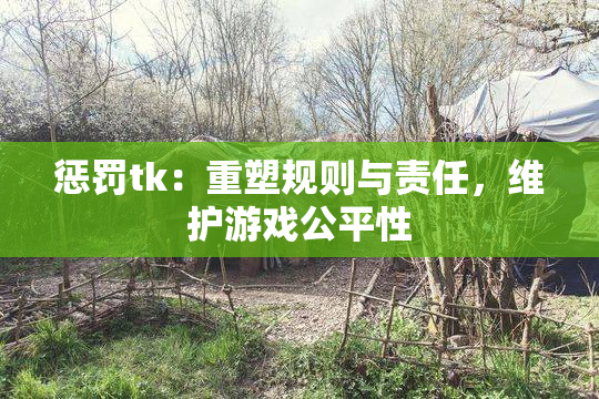 惩罚tk：重塑规则与责任，维护游戏公平性