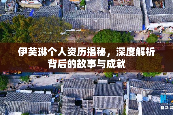 伊芙琳个人资历揭秘，深度解析背后的故事与成就