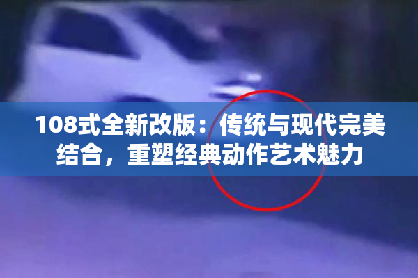108式全新改版：传统与现代完美结合，重塑经典动作艺术魅力